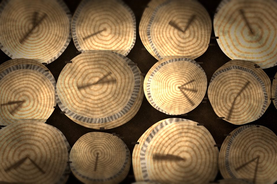 Отбор сырья — производство «Дрова-Дубовые»